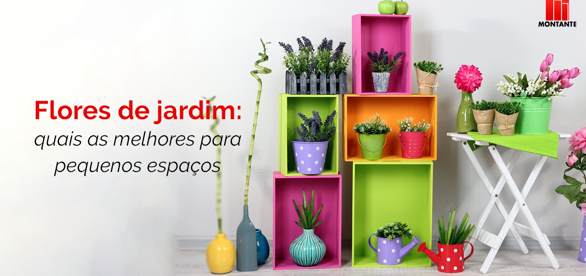 Flores de jardim: quais as melhores para pequenos espaços?