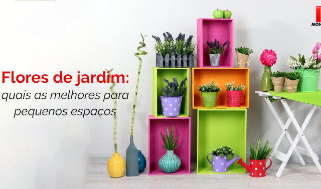Flores de jardim: quais as melhores para pequenos espaços?