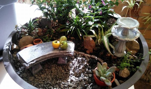 Terrário: aprenda fazer um minijardim encantador
