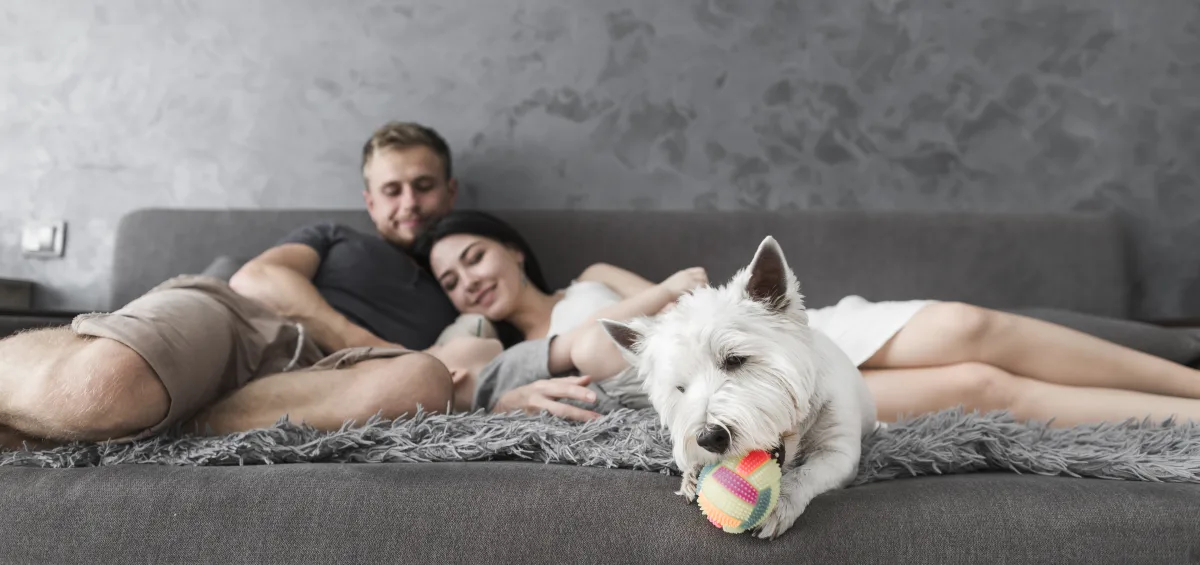 Dicas para Pet em Apartamento