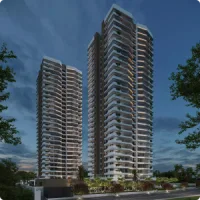 Montante Living Design